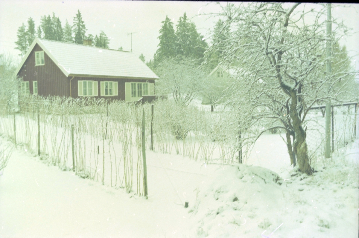 Adolf Skjegstad, ASK-04708