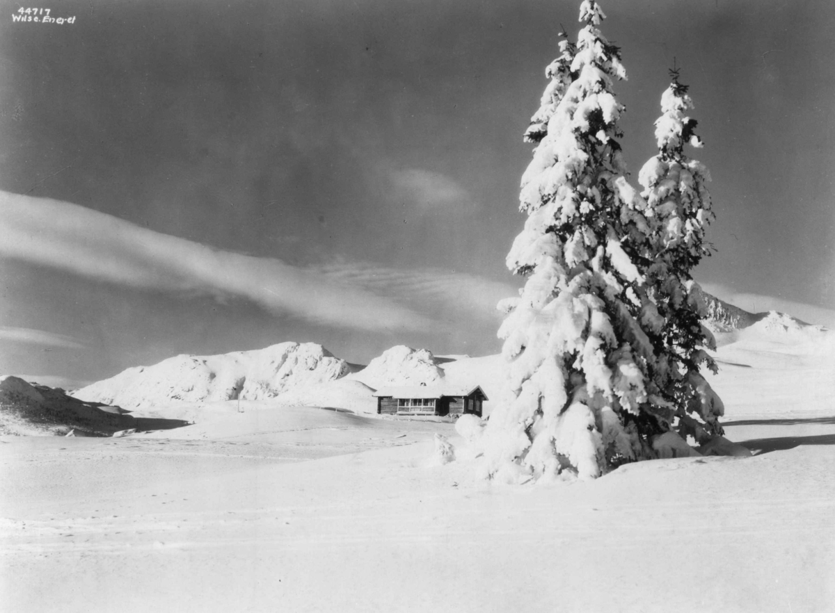 Anders Beer Wilse, Gaustadknærne, Hjartdal, Tuddal, Telemark.