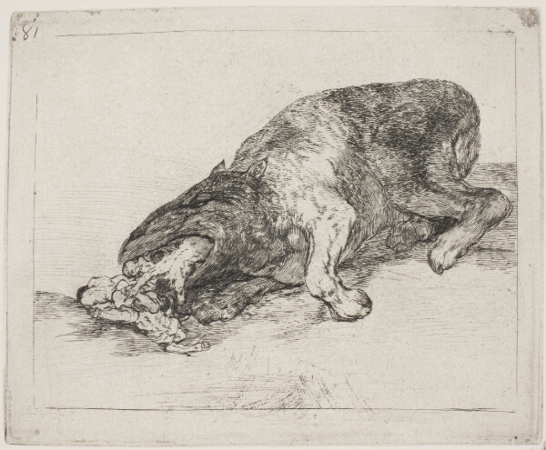 Francisco de Goya, Et vildt uhyre (81)