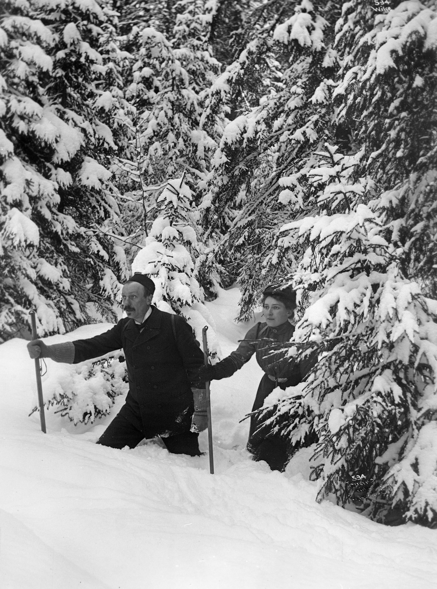 Anders Beer Wilse, Prot: Dyp sne Mars 1902