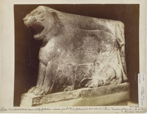 Unknown, Assyrian sculpture of a lion inscribed with the name and titles of Ashur-nasir-pal (King of Assyria 885-860 B.C.) from the Temple of Nirib, Calah
