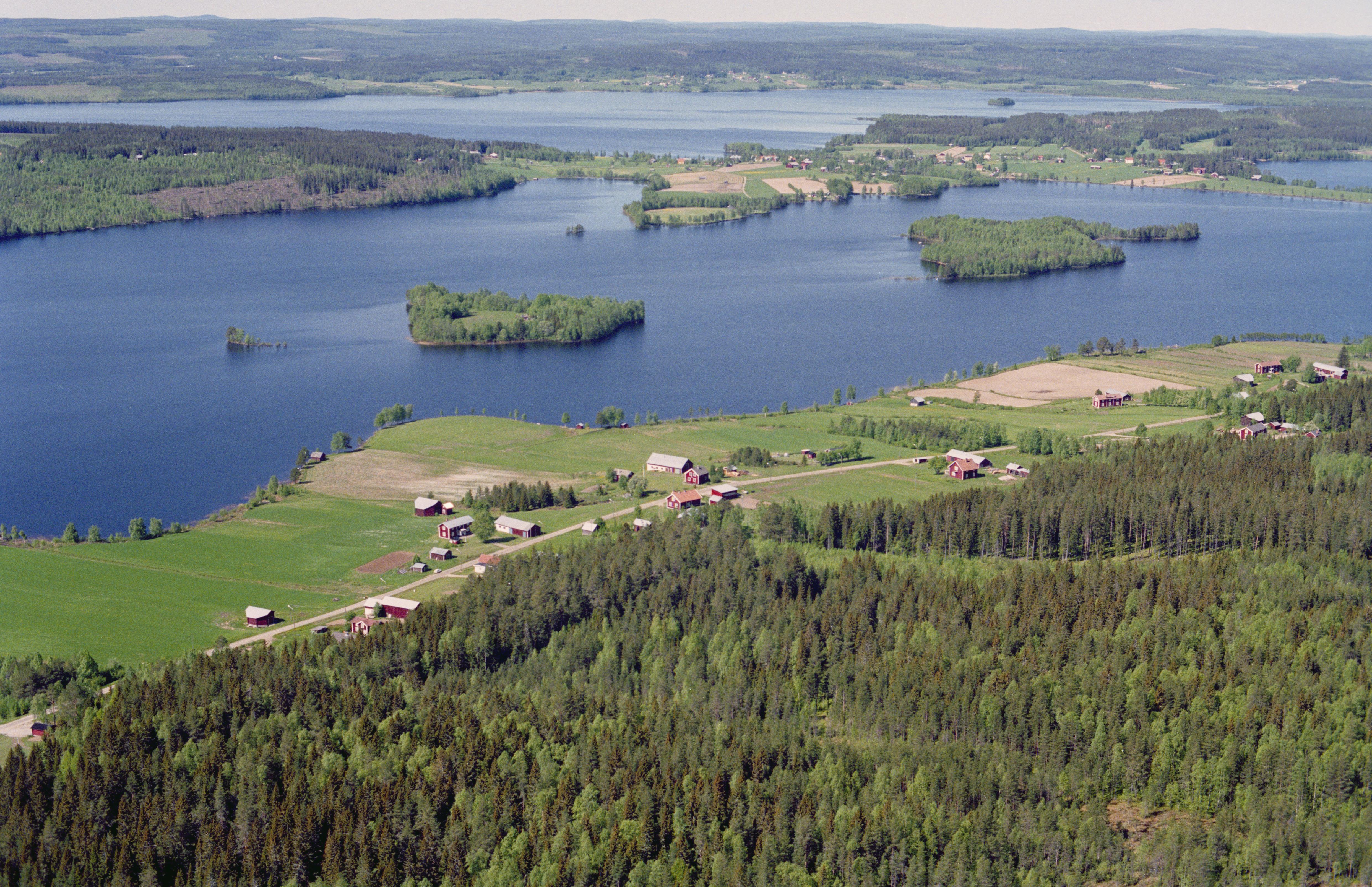 Jan Norrman, Burträsk 132:1