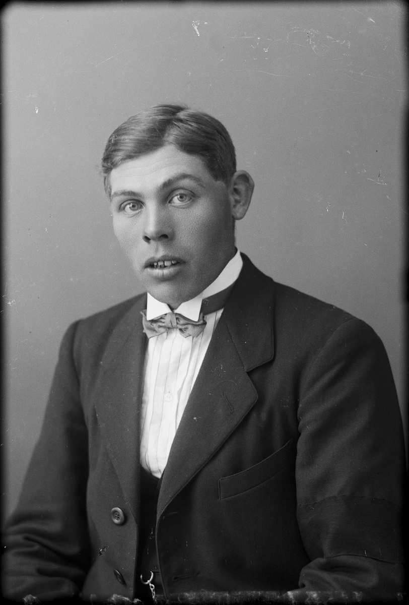 Skötsner-Edhlund, Ateljéporträtt - Albin Sundman från Boda, Börstil socken, Uppland, 1923