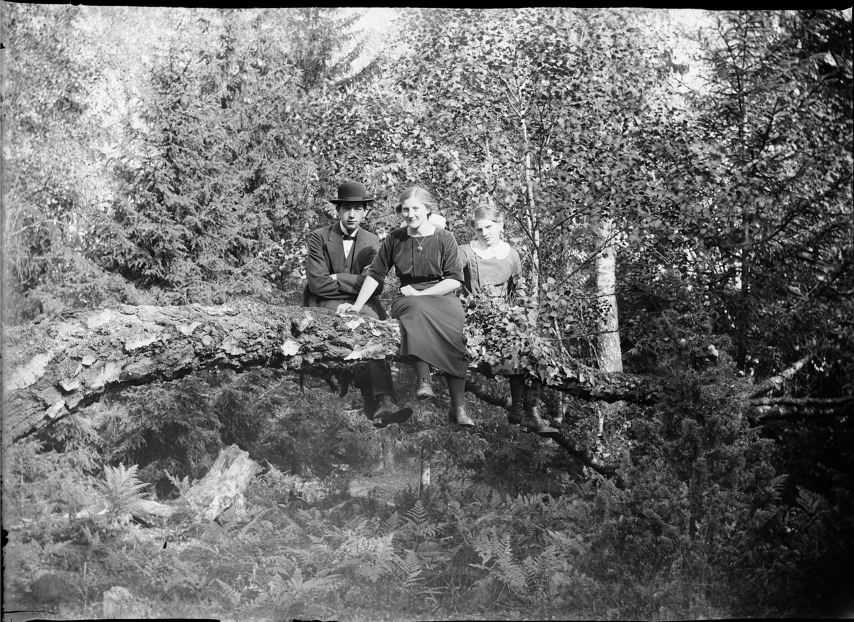 Skötsner-Edhlund, Josef, Sara and Tyra sit on a tree trunk in the forest, Östhammar, Uppland