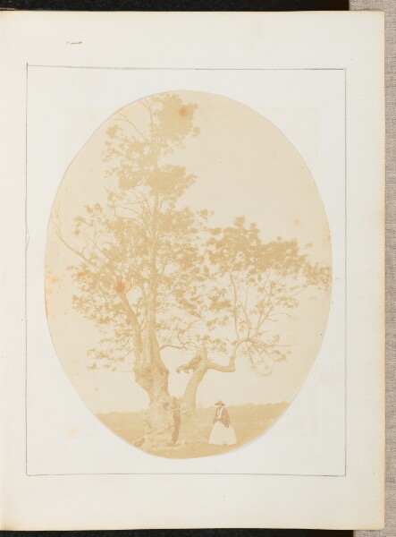 Unknown, [A Woman Posing Near a Tree]