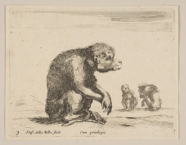 Stefano della Bella, Plate 3: seated monkey, from "Various animals" (Diversi animali)