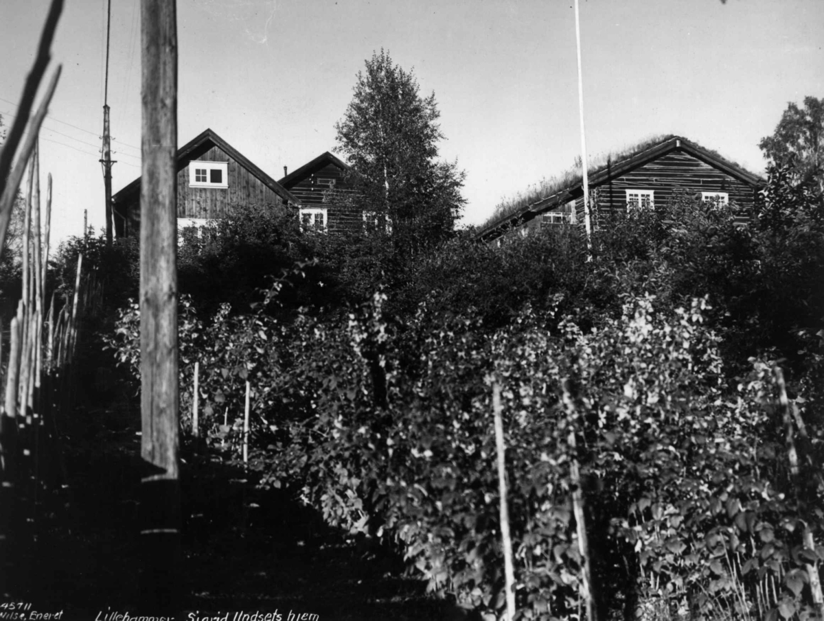 Anders Beer Wilse, Sigrid Undsets hjem, hage, bærbusker, Lillehammer