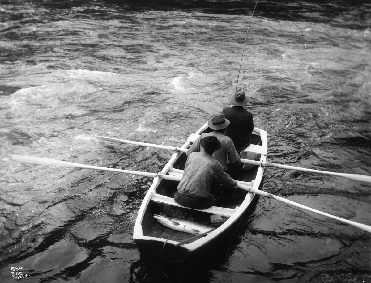 Anders Beer Wilse, Prot: Laksefiske i Sandselven Laks 25 Pund