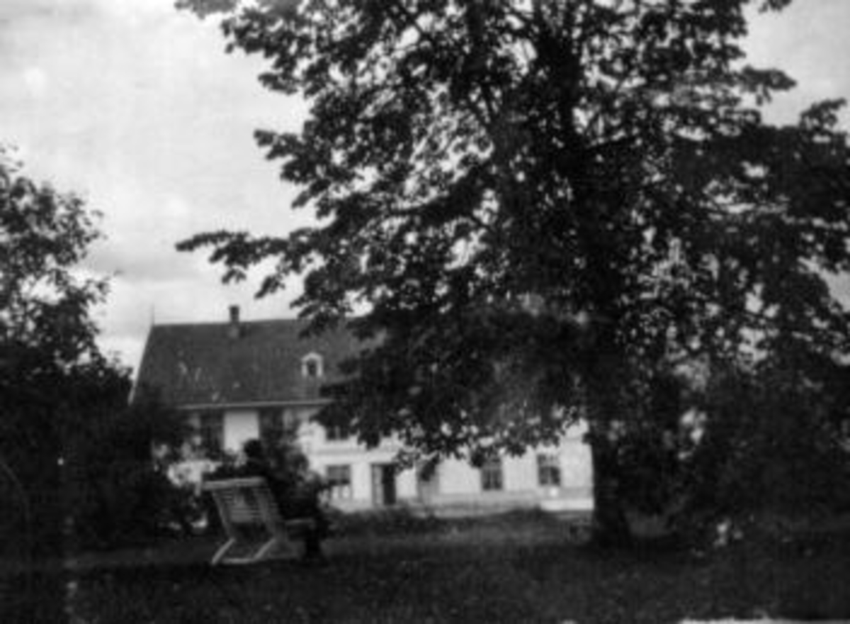 Anno Domkirkeodden, Bygning på Toftes Gave, Nedre Sund, Helgøya. Hageanlegg med benk.
