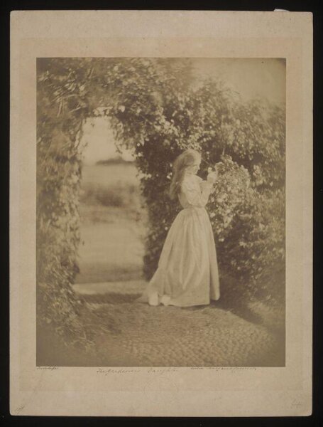 Cameron, Julia Margaret, The Gardener's Daughter