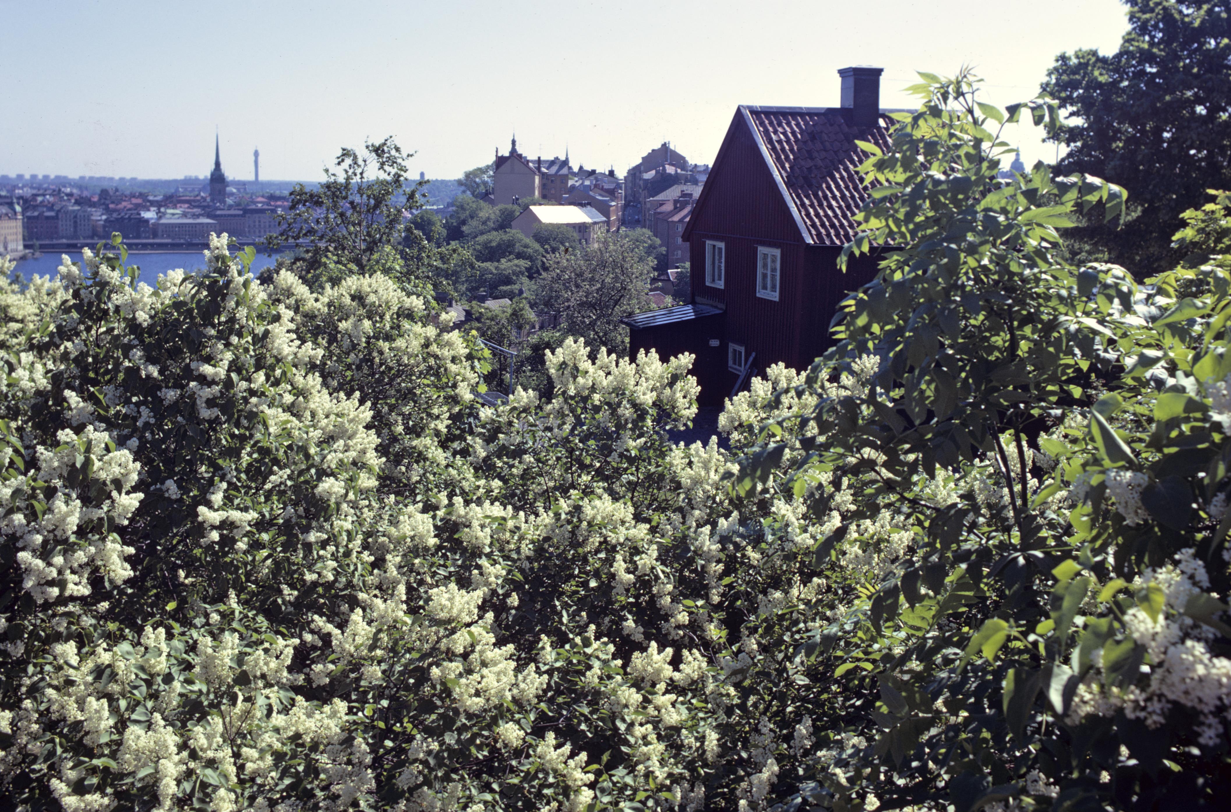 Pål-Nils Nilsson, Södermalm