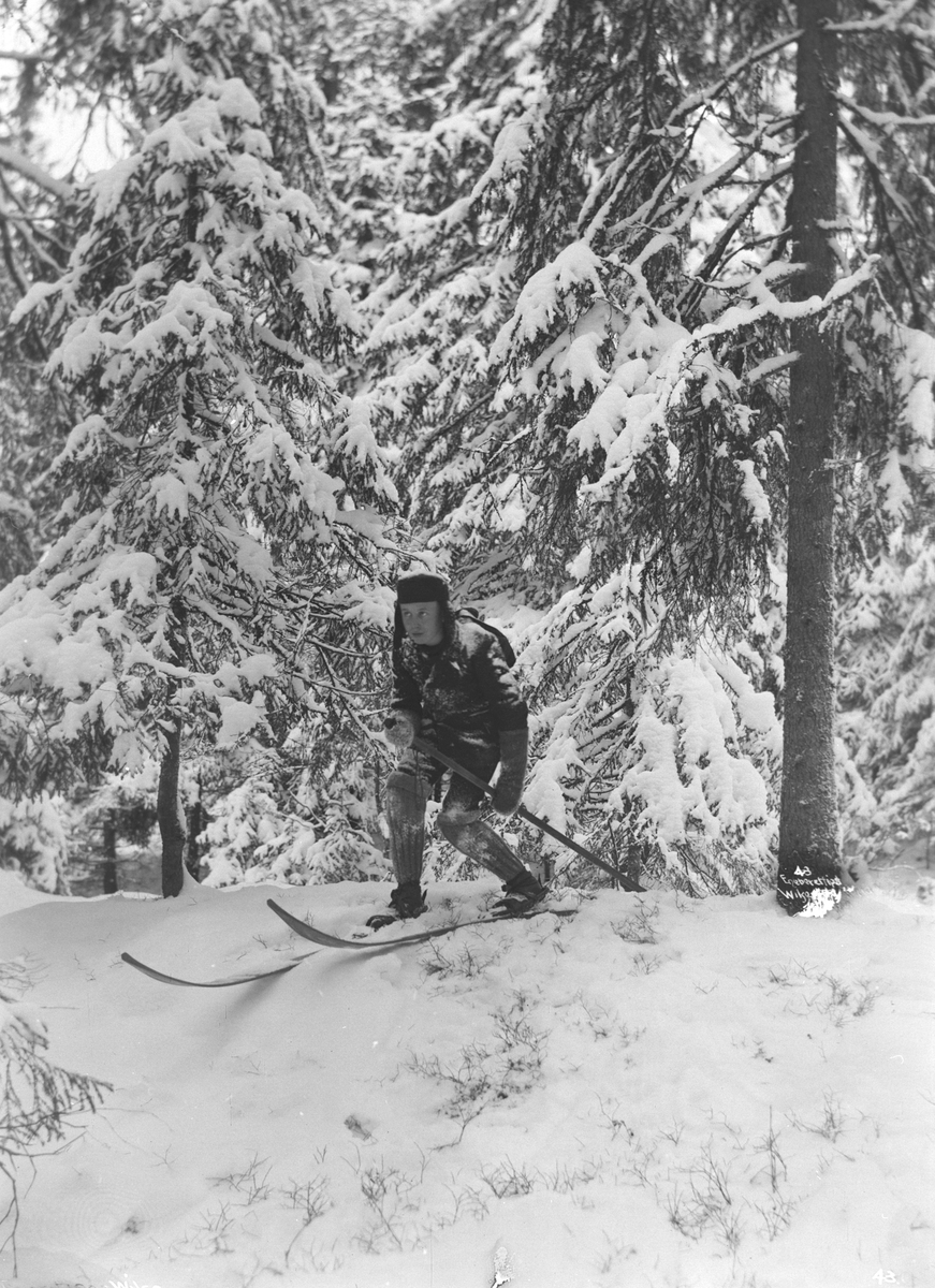 Anders Beer Wilse, Prot: Gut på ski i skogen Nov 1900
