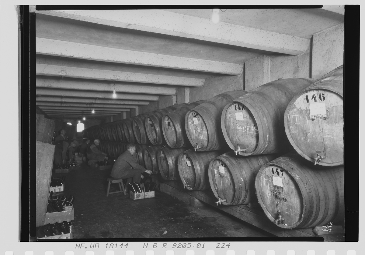 Anders Beer Wilse, Prot: Vinmonopolet