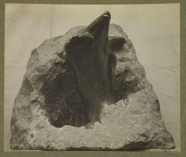 unknown, Photograph