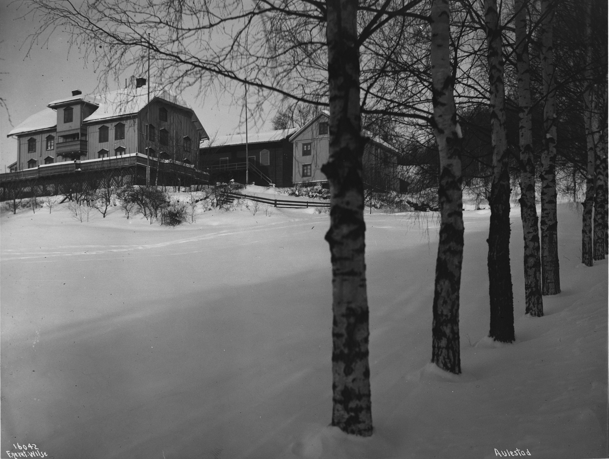 Anders Beer Wilse, Prot: Aulestad med Alléen