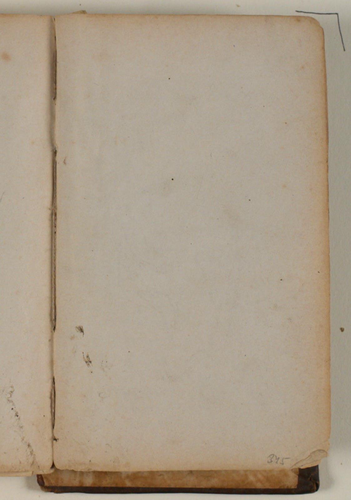 Niels Larsen Stevns, Blank