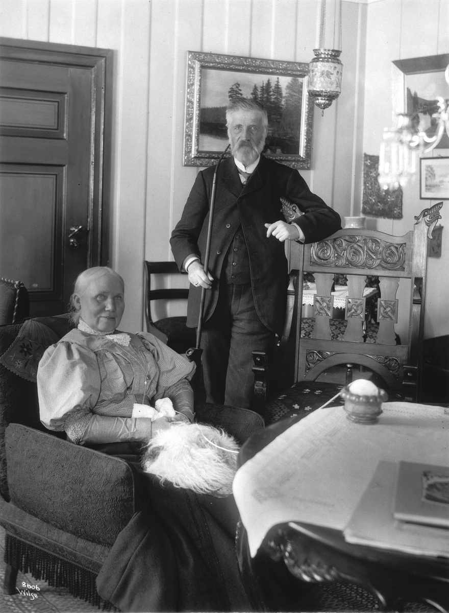 Anders Beer Wilse, Prot: Hakkedals værk Forvalter Dahl og Frue 18/3 1908