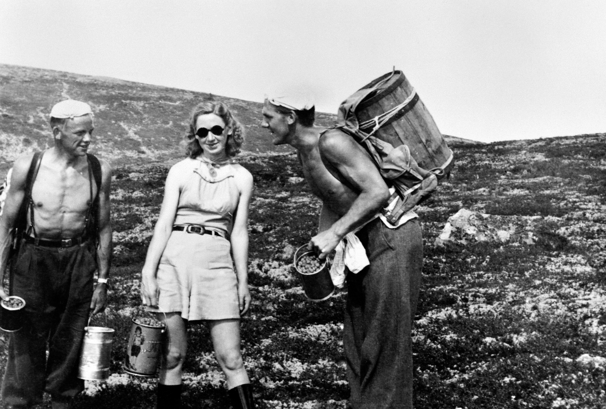 Anno Domkirkeodden, Multeplukkere, Magne Bye, Aslaug Bye og Asbjørn Saugstad med multbutting "kvartill", Golidalen, Ringsakerfjellet.