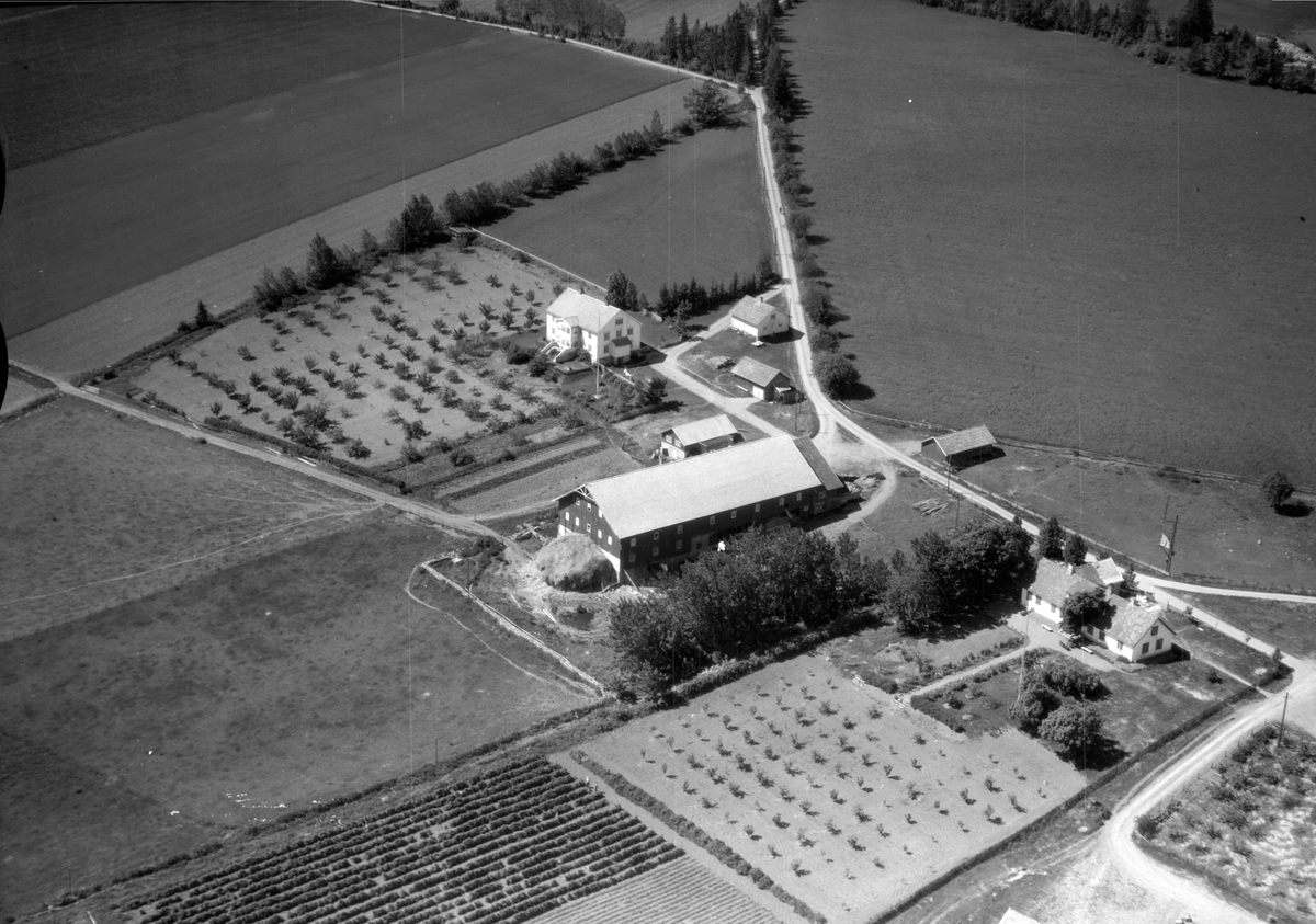 Anno Domkirkeodden, Flyfoto av Skjelve vestre, Nes, Hedmark.