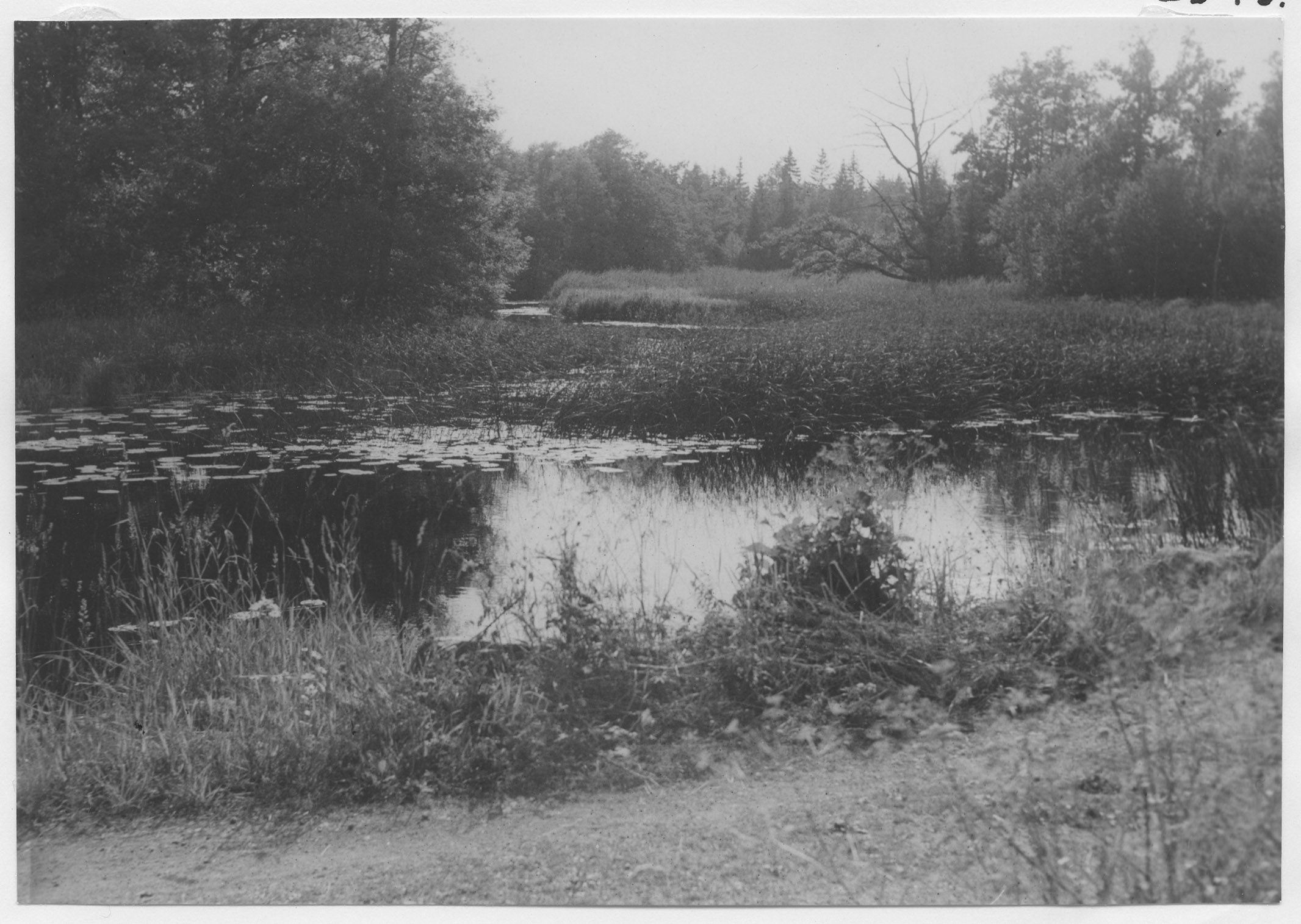 Mårten Sjöbeck, Virbo säteri