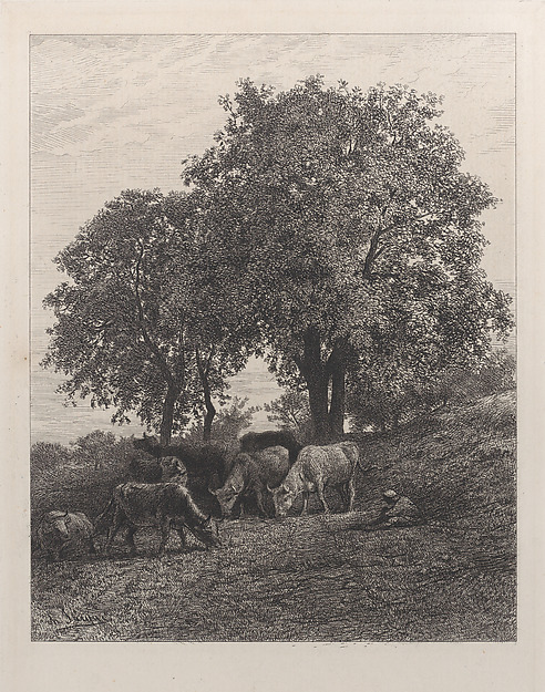 Charles Jacque, Rest