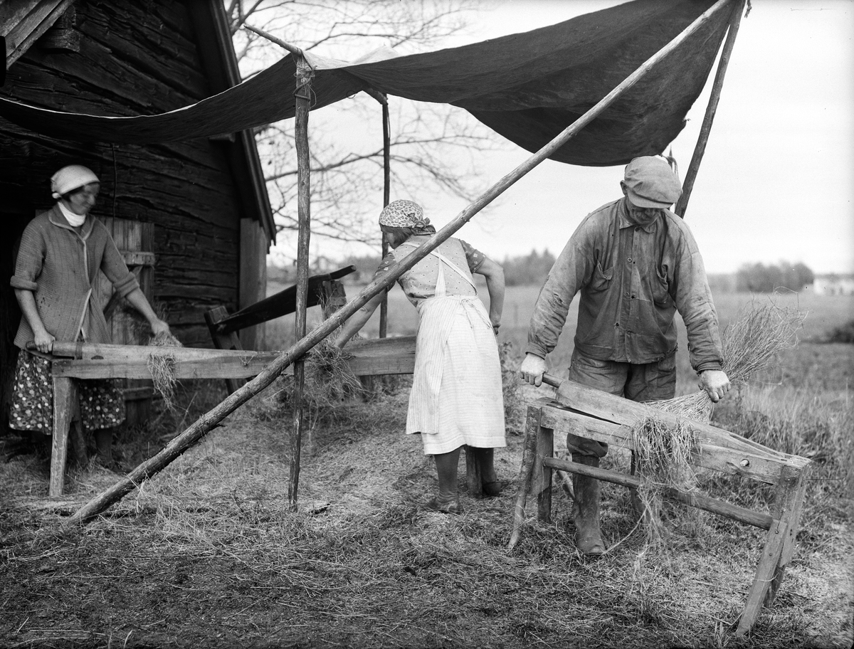 Paul Sandberg, "Linet bråkas hos hemmansägare Axel Eriksson i Kilby", Alunda