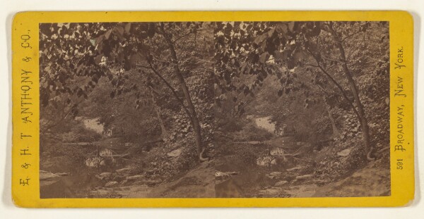 Edward and Henry T. Anthony & Co., Wissahickon Creek, Near Philadelphia Pa. Germantown Bend.