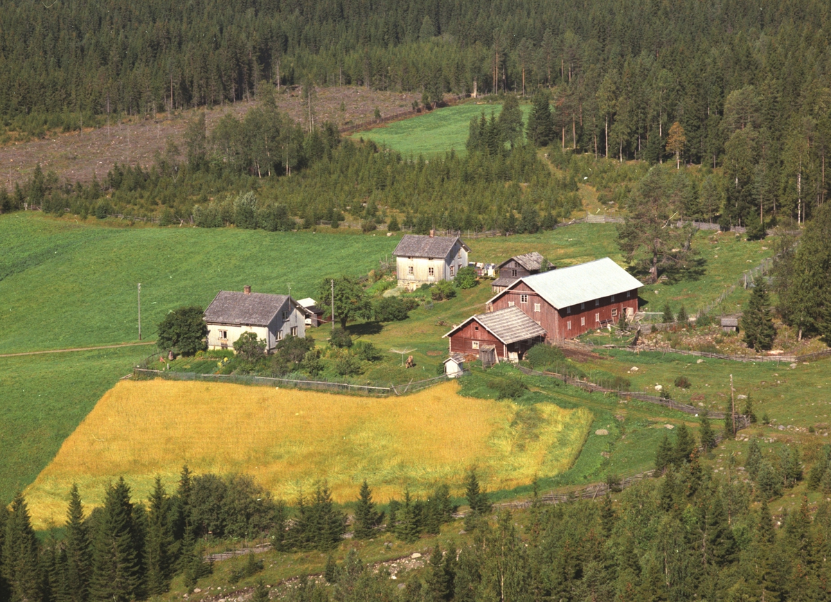Widerøes Flyveselskap A/S, Flyfoto, Jægersborg, Næroset, Ringsaker.
