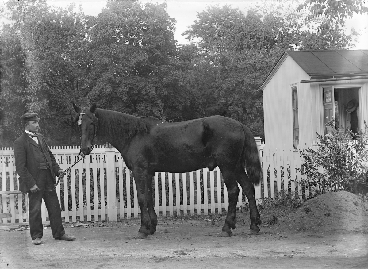 Henri Osti's Fotografiateliér, Man with a Horse outside Ostis studio, Broad alley 11, Uppsala before 1914