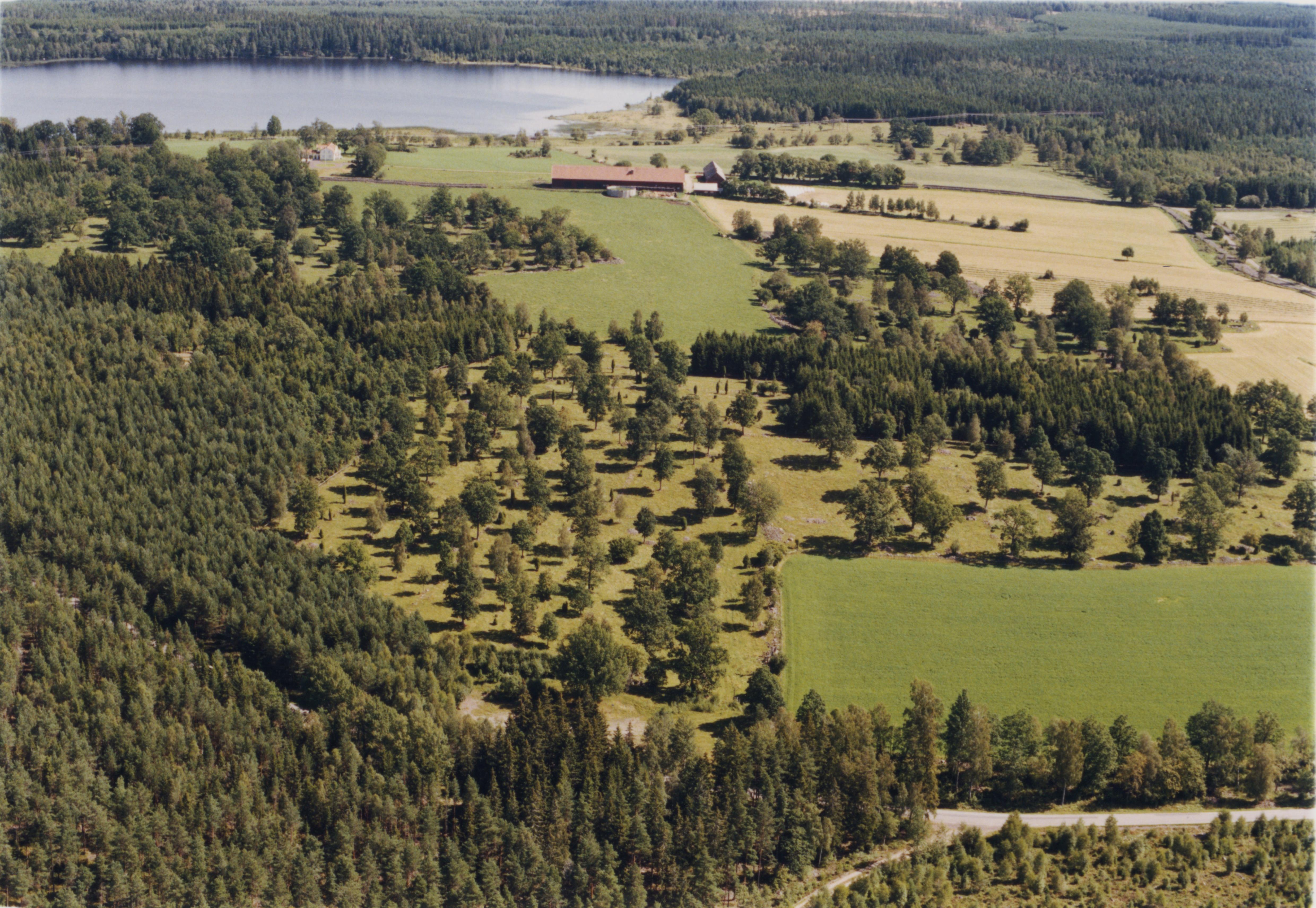 Jan Norrman, Lenhovda 113:1