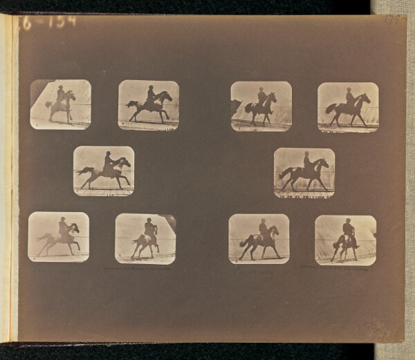 Eadweard J. Muybridge, Running. Cantering