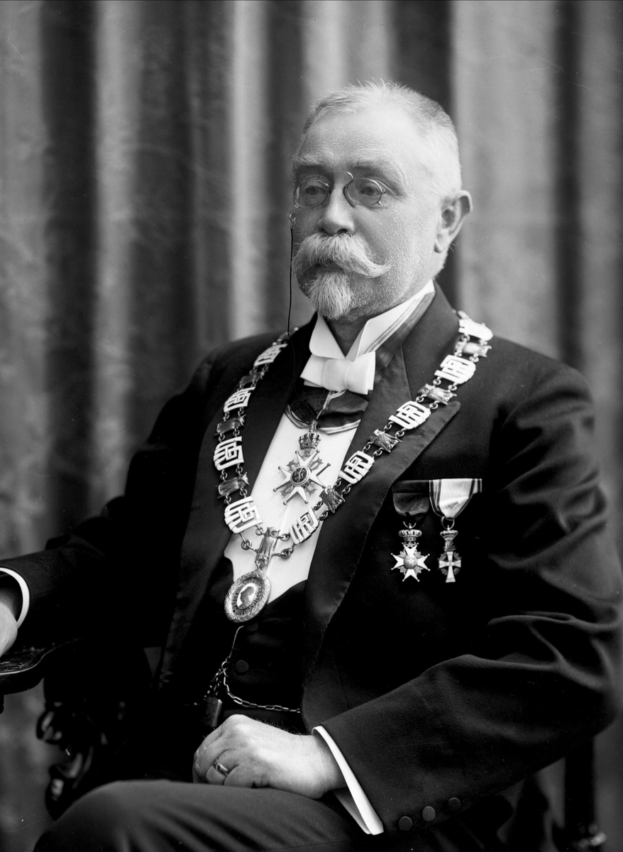Gustav Borgen, Portrett, rektor ved universitetet i Oslo. Professor Morgenstjerna.