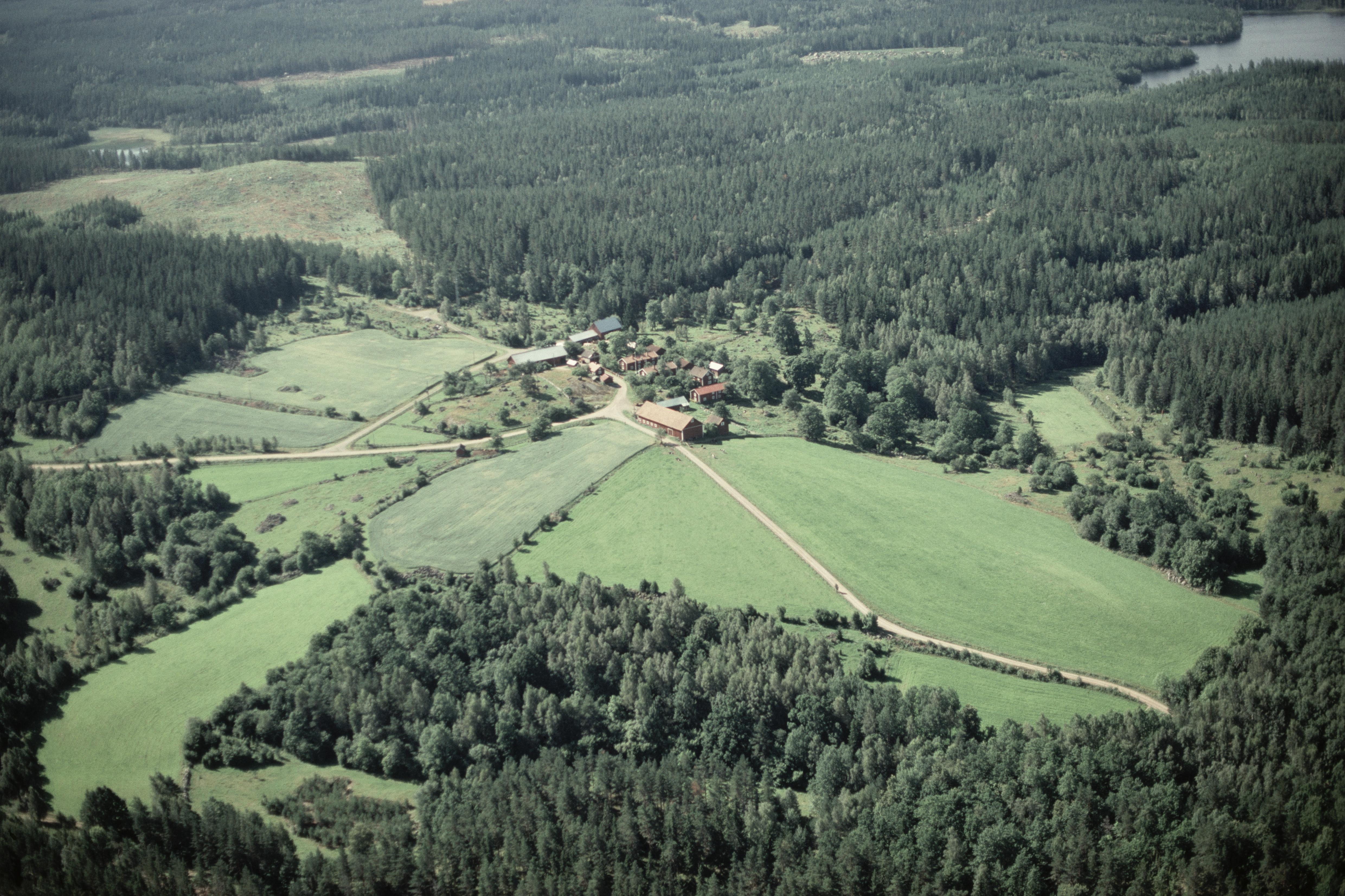 Jan Norrman, Kisa 19:1