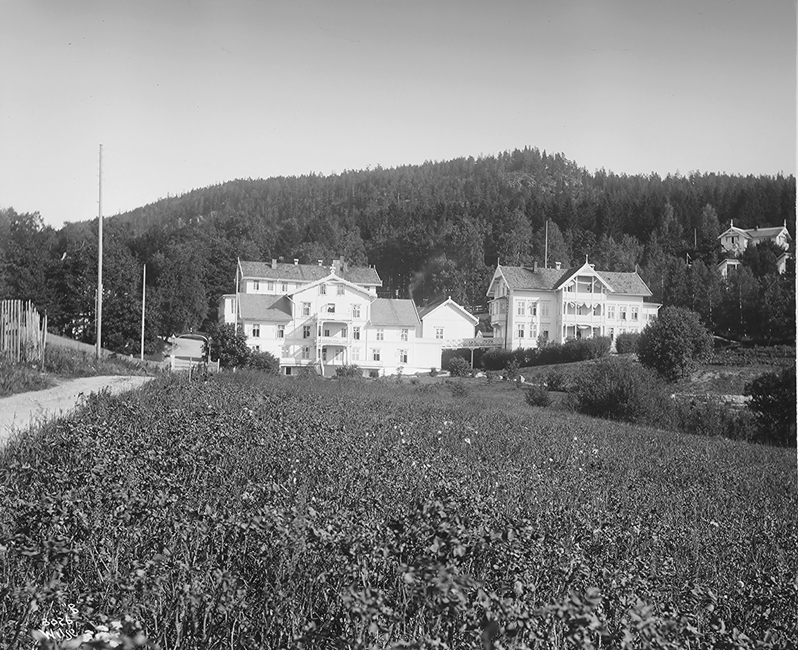Anders Beer Wilse, Prot: Grefsen Sanatorium Panorama