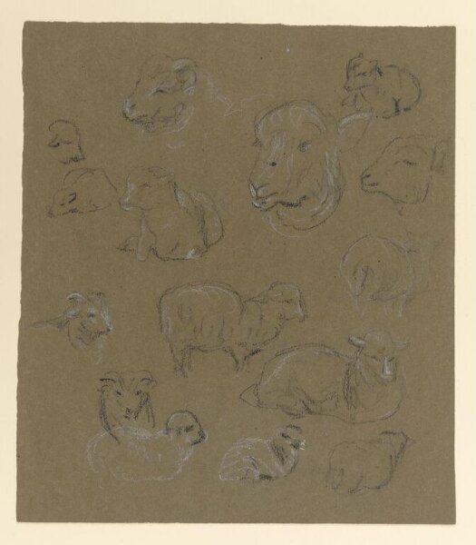 Potter, Beatrix, drawing