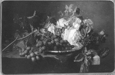 Adriana Johanna Haanen, Bloemen en vruchten