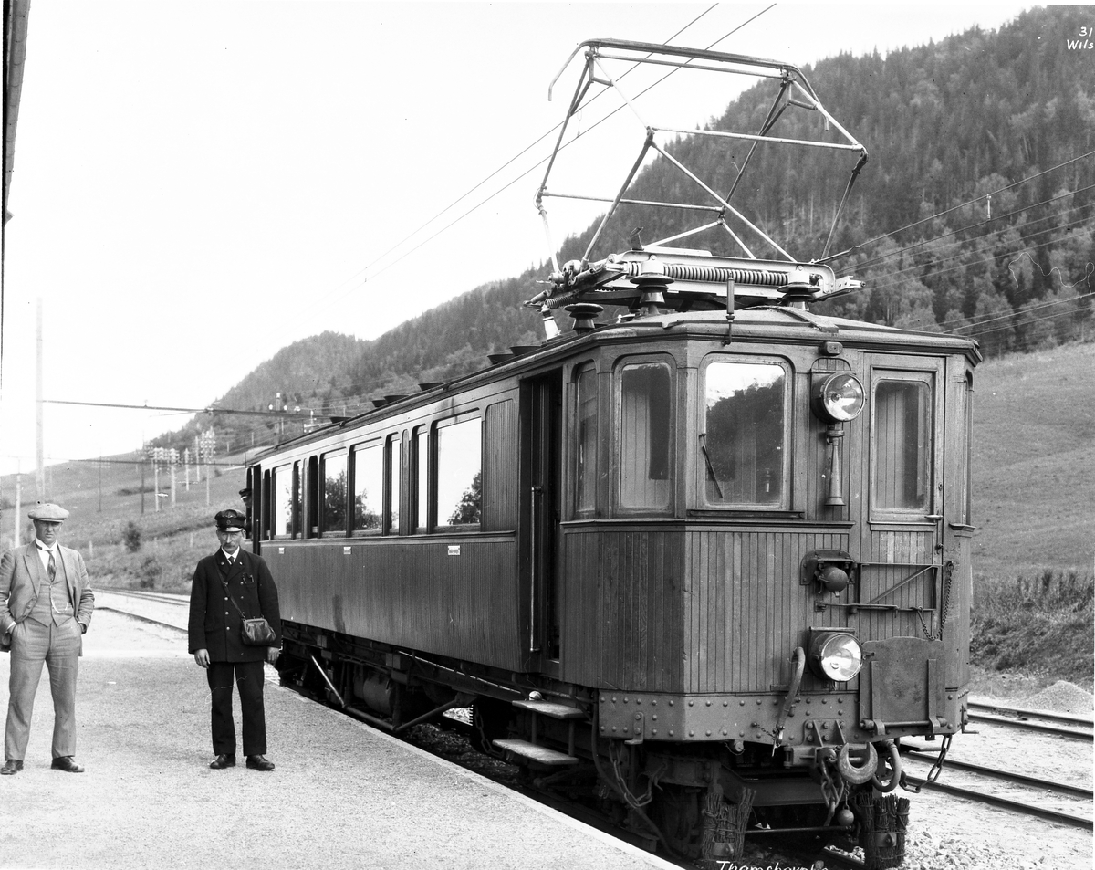 Anders Beer Wilse, Prot: Trøndelag - Thamshavn, tog