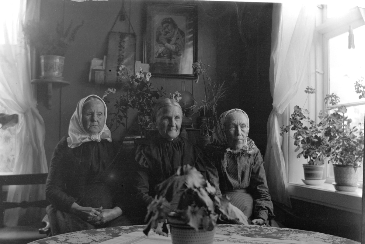 Ole Hansen Løken, GRUPPE 3 ELDRE KVINNER, SKAUT.