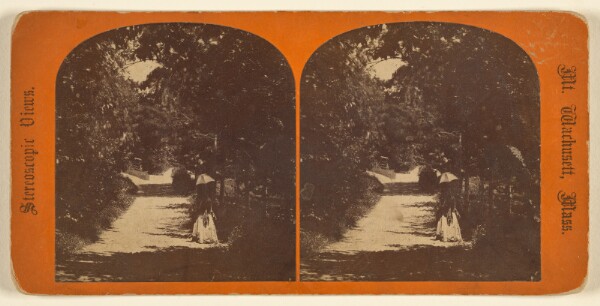 Thomas Lewis, Road to Mountain House. [Mt. Wachusett, Mass.]