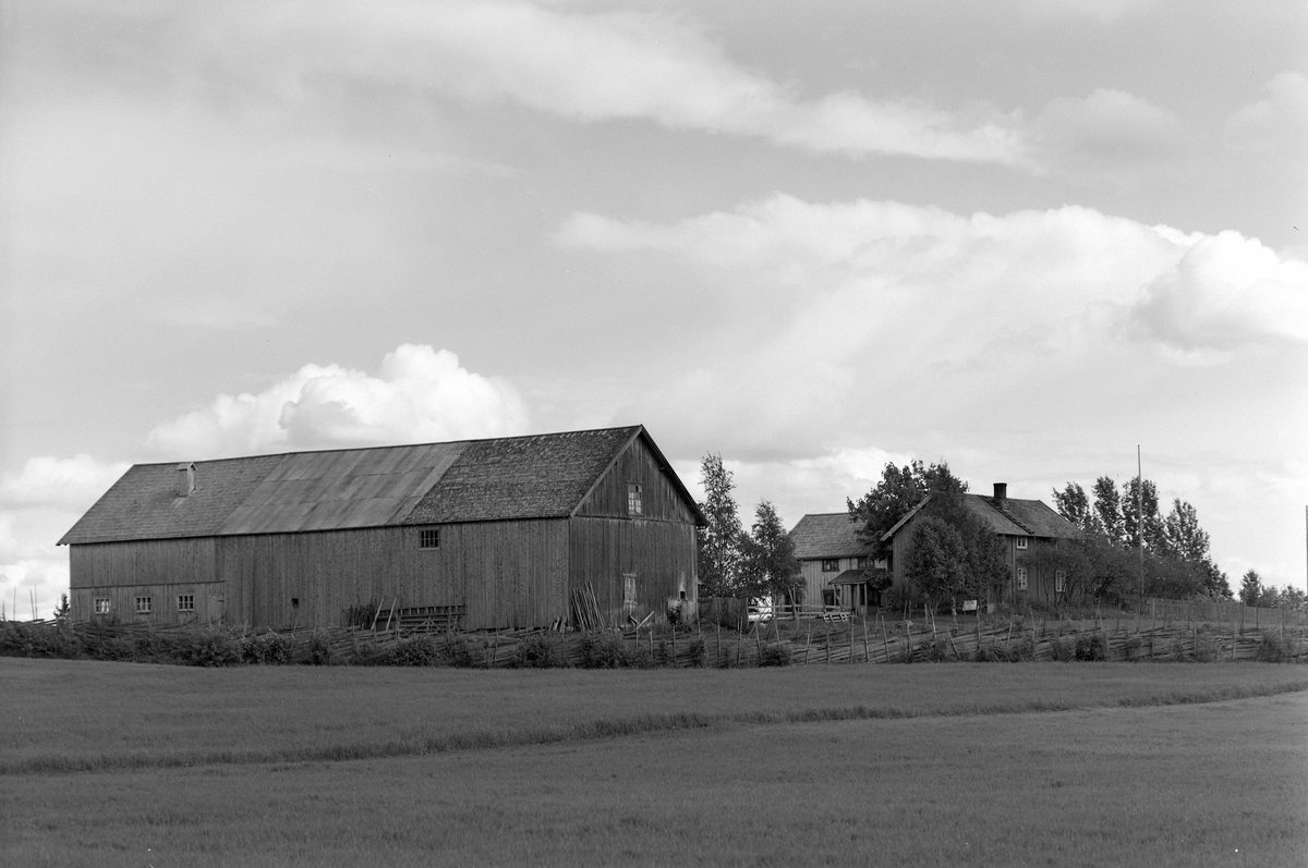 Anno Domkirkeodden, EKSTR: GARDSTUN, HOLEN NORDRE. Se Løtenboka, bind 2. Bygdeboka fra 1953, side 153