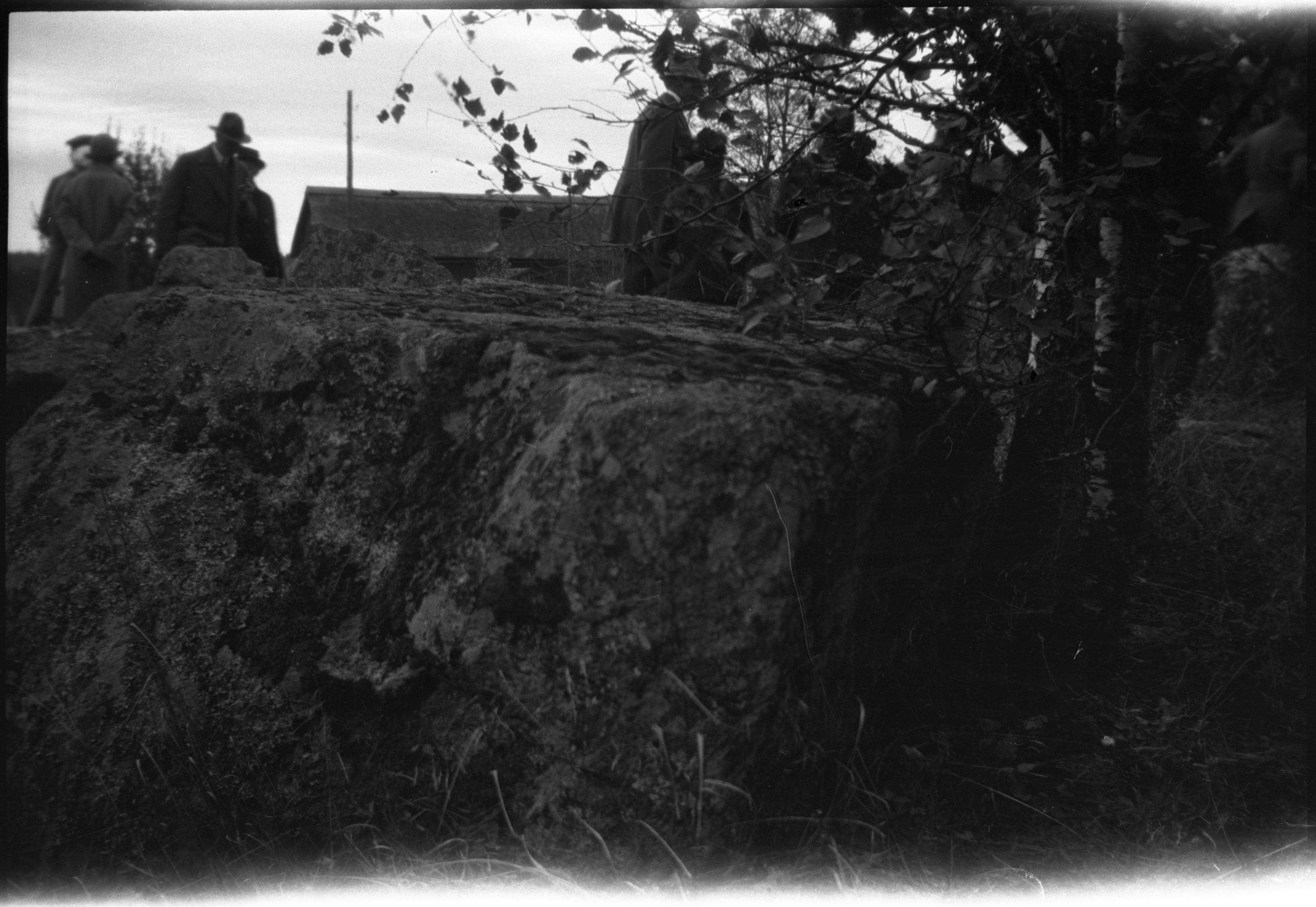 Berit Wallenberg, Villberga