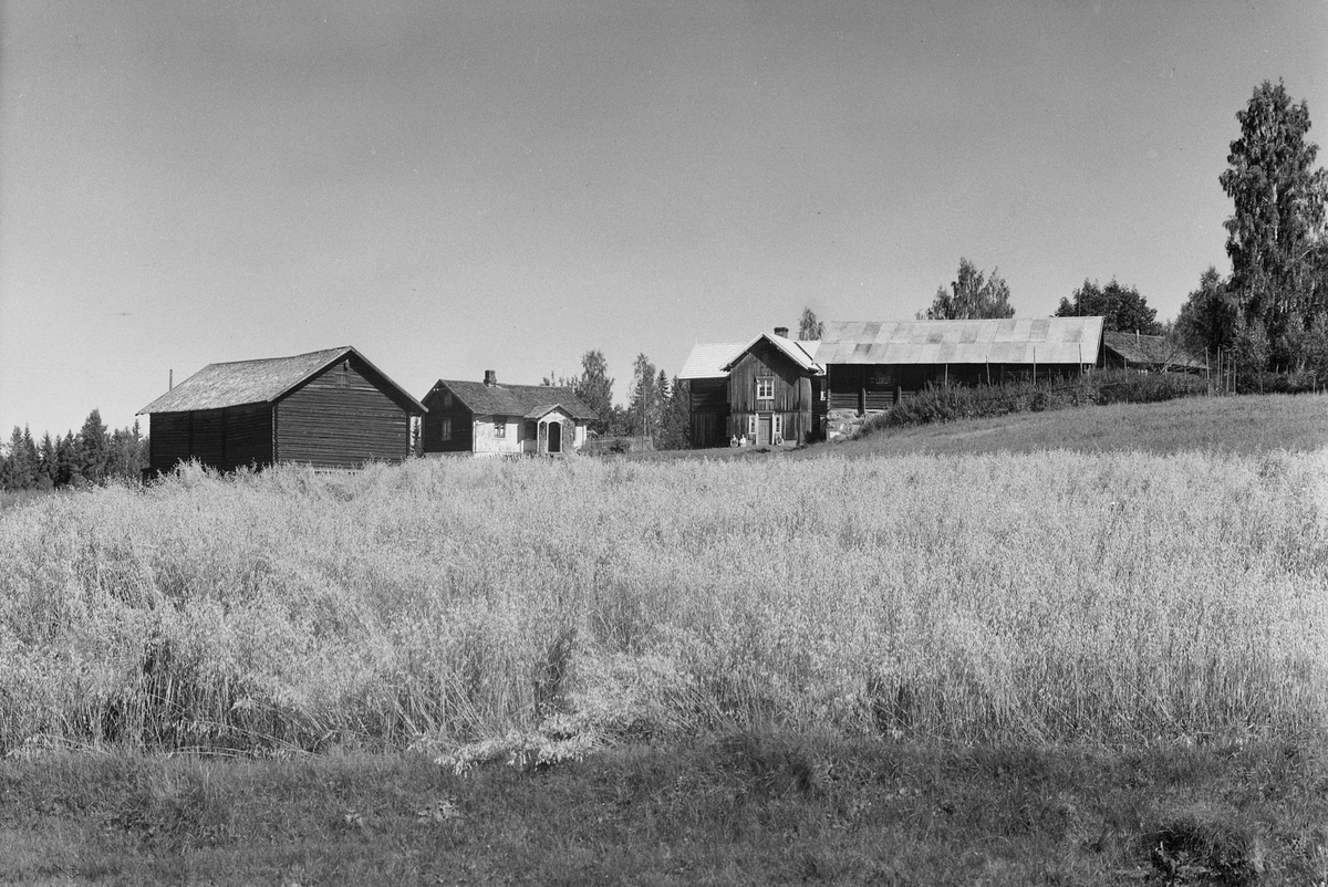 Anno Domkirkeodden, EKSTR: GARDSTUN, KROKEN, LØTEN. Se Løtenbok nr. 3 fra 1955 side 765