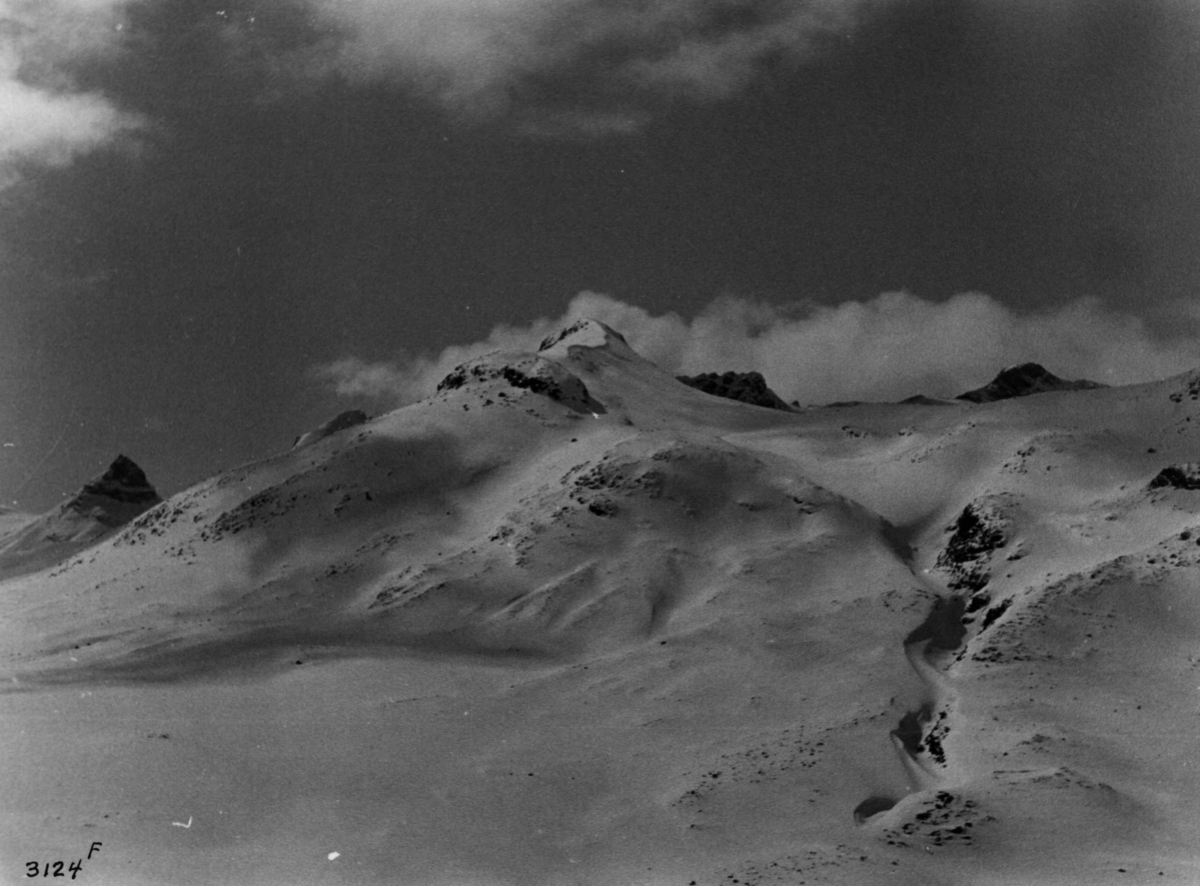 Anders Beer Wilse, Fjellvidde, Jotunheimen, sno, Kyrkja, Tverrbotntindan, Bukkeholstindan.