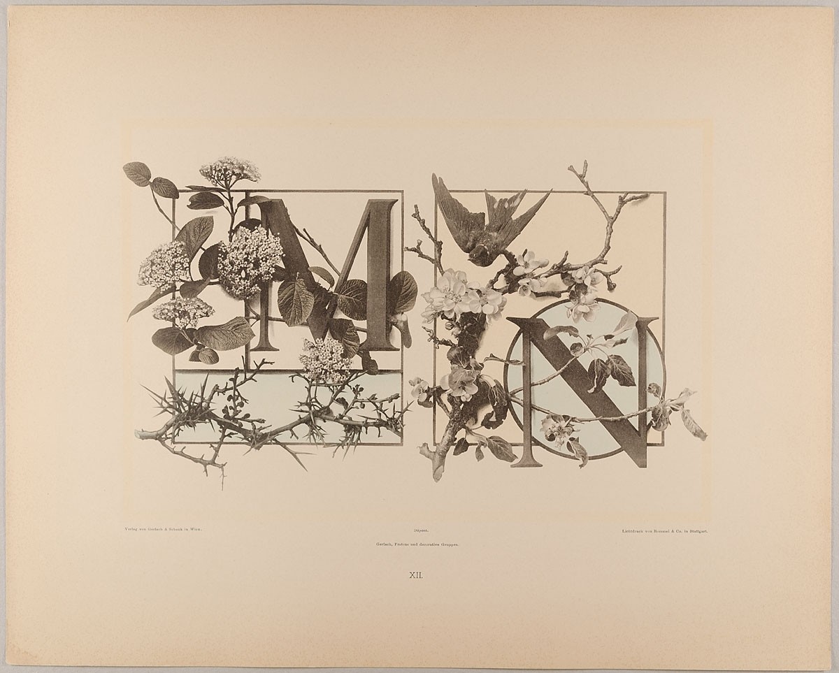 Martin Gerlach, XII. Initiale M N mit Mehlbeere, Dorn - Schwalbe und Apfelblüthe