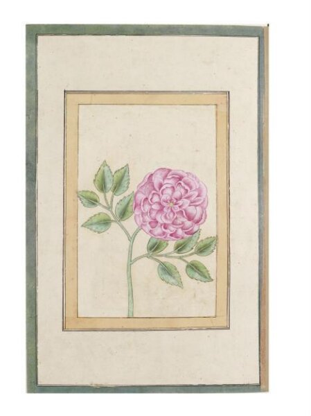 Unknown, Painting