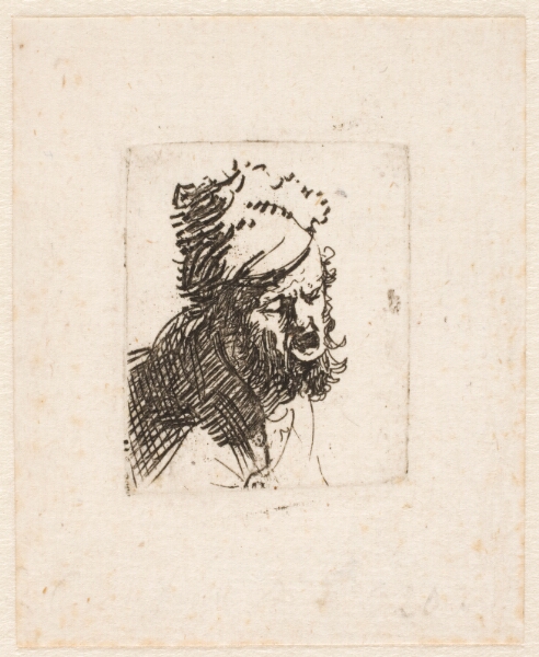 Rembrandt van Rijn, Hoved af råbende mand med pelshue