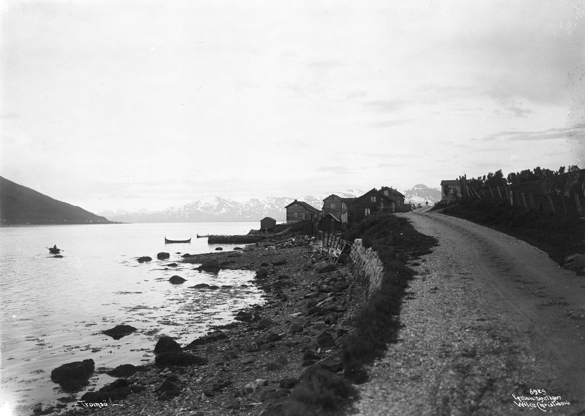 Anders Beer Wilse, Prot: Tromsø Veiparti