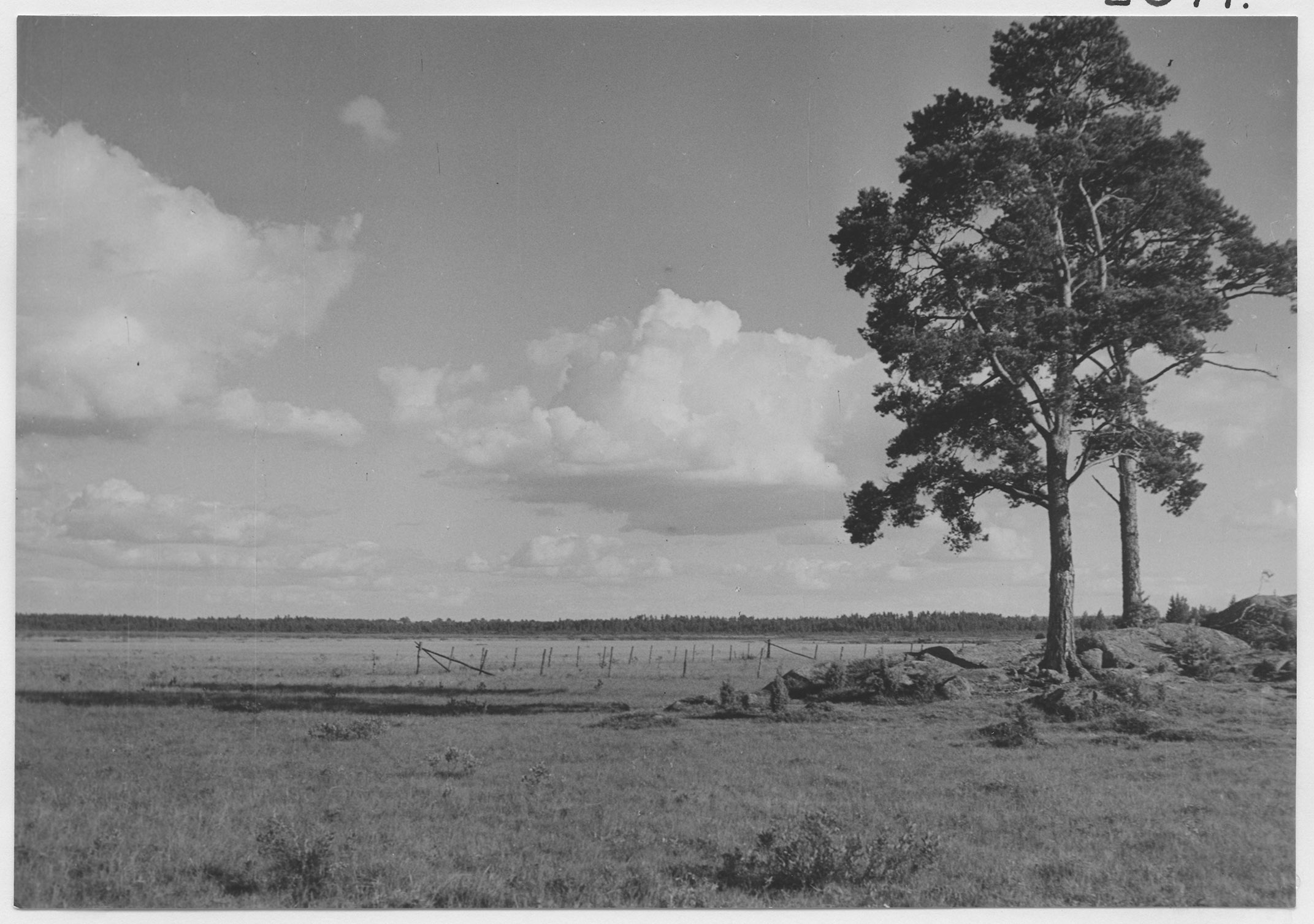 Mårten Sjöbeck, Store Mossen, stranden av Kävsjön
