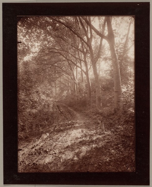 Eugène Atget, Parc de Sceaux