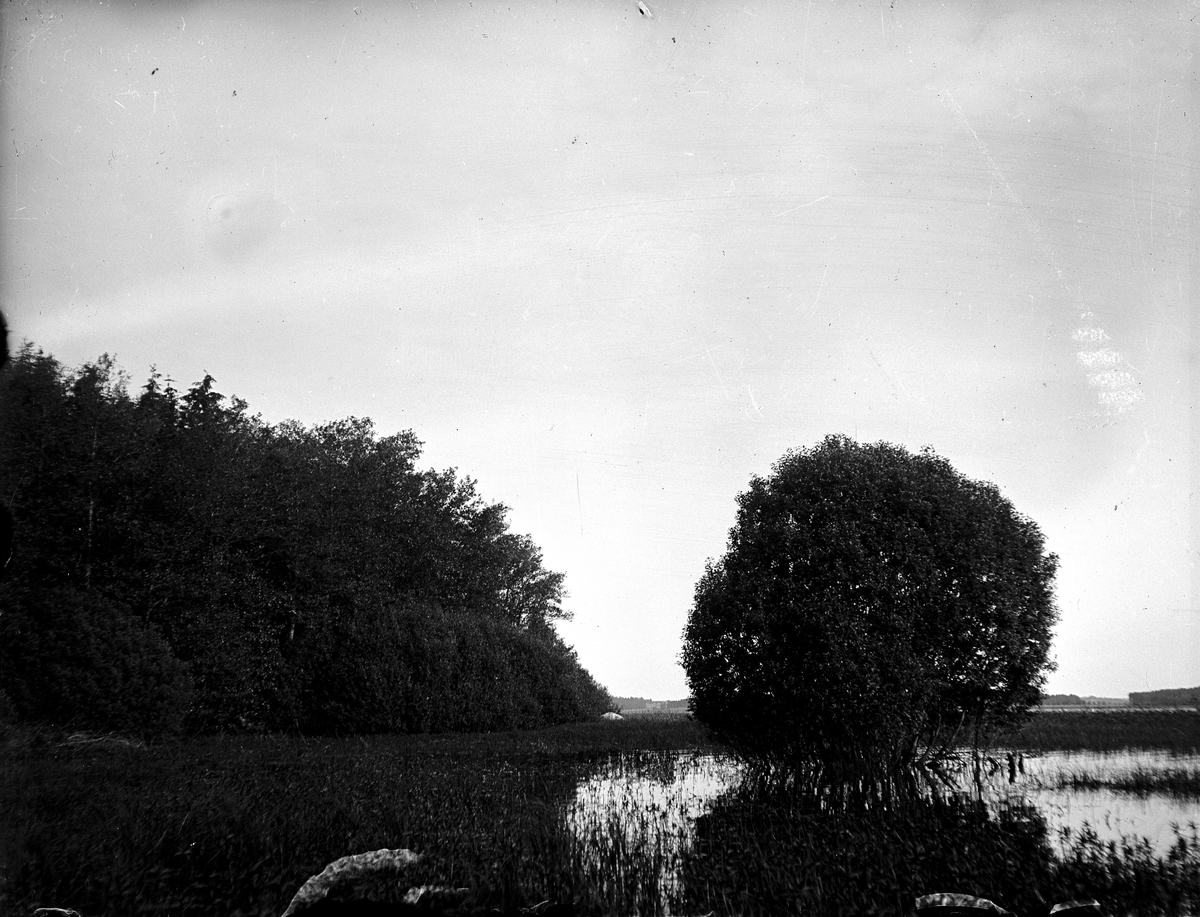 Ellert Johan Viktor Sörman, Videbuske. Fotograf KJ Österberg eller E Sörman.